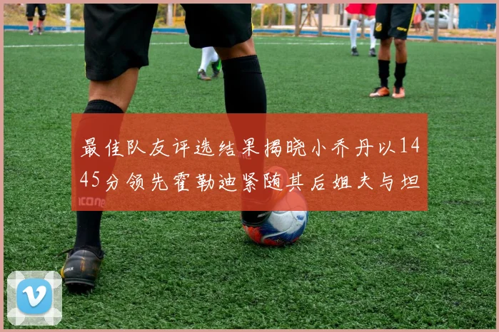 最佳队友评选结果揭晓小乔丹以1445分领先霍勒迪紧随其后姐夫与坦普尔并列第34位